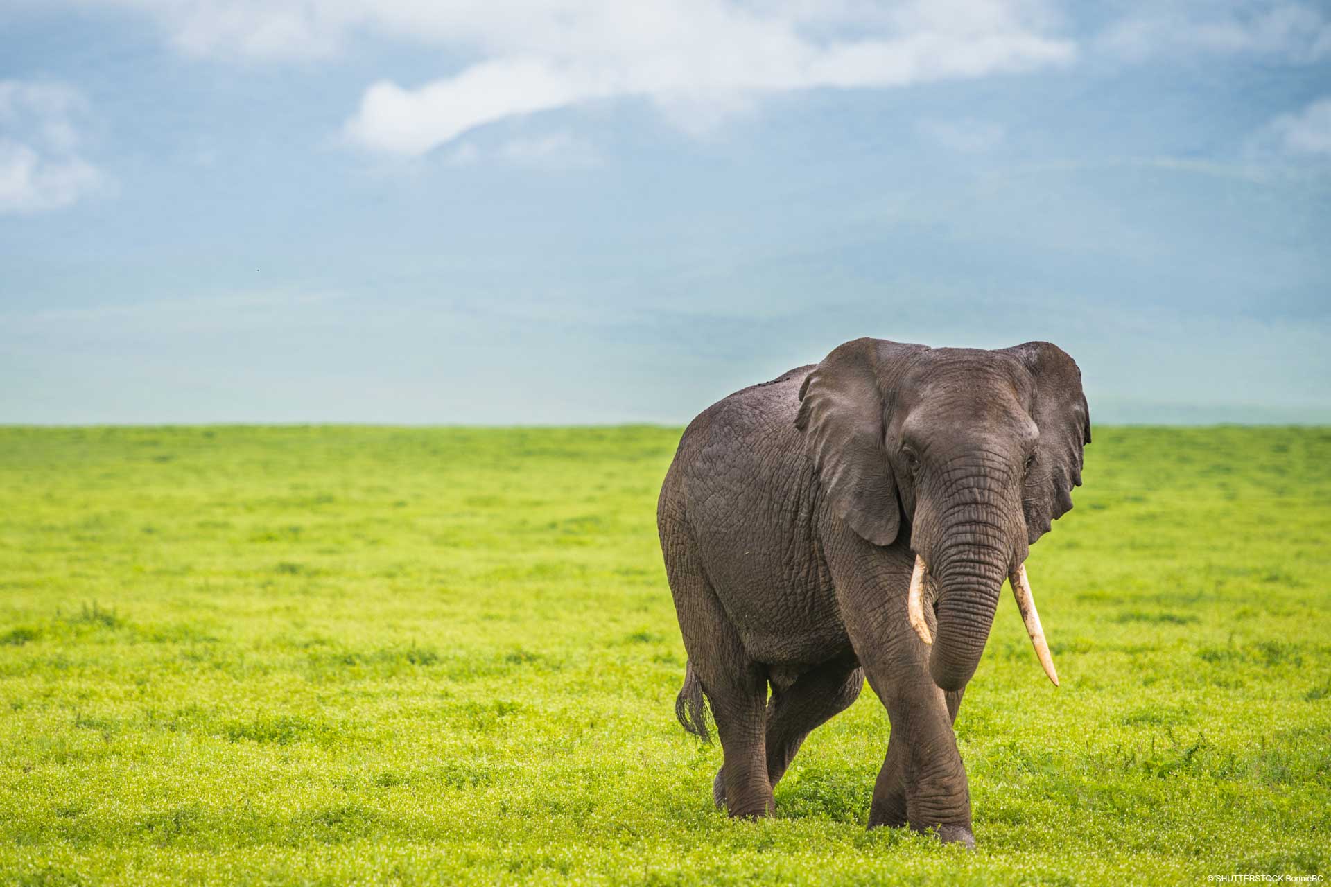Tanzania Travel Safety
